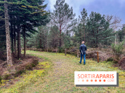 Arbor&Sens, l'Arboretum de Franchard en forêt de Fontainebleau - les photos - IMG 7913