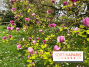 Jardin de l'Ecole du Breuil - nos photos