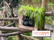 Ménagerie du Jardin des Plantes 2024 - nos photos