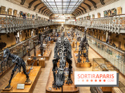 La Galerie de Paléontologie et d'Anatomie comparée du Muséum au Jardin des Plantes -  A7C7462