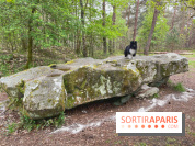 Dolmen de la Pierre Ardoue - IMG 0985