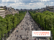 Grand pique nique des Champs-Élysées - photos  -  A7C4826