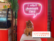 Casa del Doggo - IMG 1642