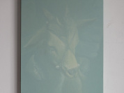 Transumanze, par Alberto Ruce