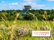 Le Parc du peuple de l'herbe dans les Yvelines - Étang de Galiotte - Carrières-sous-Poissy