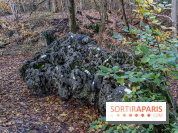 Randonnée à Fontainebleau : le sentier sur les pas de Denecourt jusqu’à la Tour Denecourt -  A7C7571