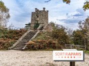 Randonnée à Fontainebleau : le sentier sur les pas de Denecourt jusqu’à la Tour Denecourt -  A7C7603