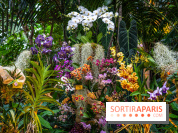 Mille et une orchidées 2025 - les photos