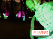 Exposition Silva Lumina au Centre Culturel Irlandais  - Silva Lumina 12 fotor 2025020692052