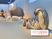 Déserts : l'exposition scientifique se dévoile au Muséum d'Histoire naturelle de Paris