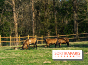 La Ferme de l’Abbaye des Vaux de Cernay : l'hôtel de charme en pleine nature dans les Yvelines - photos
