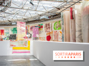 Exposition Disco de Vivan Sutter au Palais de Tokyo - DSC 3065