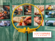 Le geste retrouvé - IMG 3426