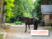 Visite guidée de l'École Mlitaire d'Équitation