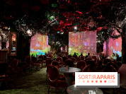 Wonderwoods - IMG 3818