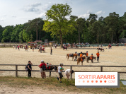 Le Grand Parquet Fontainebleau - photos  - A7C02562