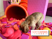 Patapwouf, le spot cani-friendly de Saint-Ouen - nos photos - 039E98EA 14EC 4A45 835B A43C1DA1FDC6