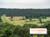 L'Hippodrome de la Solle à Fontainebleau - photos