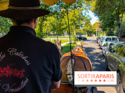 Tous en piste ! à Maisons-Laffitte (78): poneys, calèche et spectacles équestres gratuits au château - IMG 8111 jpg