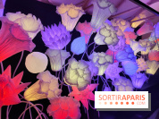 Jardiner : une exposition au cœur de la nature à vivre à la Cité des Sciences et de l'Industrie - fotor 1760436644750