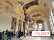 Art Basel 2025 : des installations d'art contemporain originales et gratuites à voir au Petit Palais