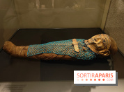 Momies : une exposition insolite et troublante à découvrir au musée de l'Homme