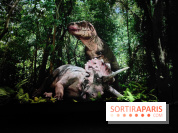 Dinosaures : l'expérience immersive qui nous fait remonter le temps à l'Atelier des Lumières, photos