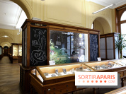 Codex on the Rocks, nos photos de l'expo au Musée de Minéralogie à Paris