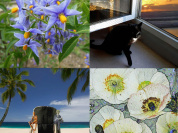 Parcours photographiques