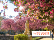 Les pommiers et cerisiers en fleurs du Jardin de Reuilly, Parc de Reuilly à Paris 12e - photos  - visuel