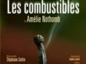 Les Combustibles 