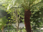 Hôtel renaissance, le parc  Trocadéro, Mariott, Jean-Philippe Nuel, 16ème arrondissement, 5 étoiles