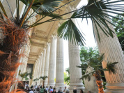 La terrasse du Mini Palais se met à l'heure des thés