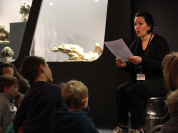 Nuit de la lecture sevres