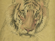 Desportes au Domaine de Sceaux 