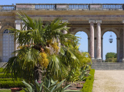 Un jardin d'été d'inspiration africaine au Grand Trianon de Versailles