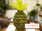 Les chocolats de Pâques de la pâtisserie Wonderland 