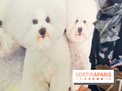 Children Power, l'exposition pour enfants interdite aux adultes non accompagnés au FRAC Paris