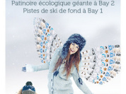 Bay Neige