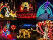 L’Odyssée Lumineuse au Parc Floral 2024 nous plonge dans les contes et légendes du monde entier