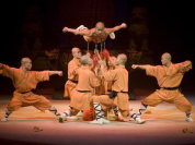 Le Petit Dragon au Cirque Phénix