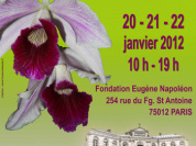 salon international des orchidées 2012