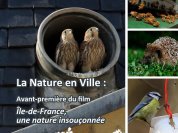 La France Sauvage : île-de-France, une nature insoupçonnée