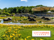 Le Parc Floral, un magnifique écrin de verdure à Paris
