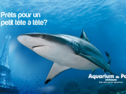 brunch aquarium de paris