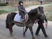 Paris Poney 2012 au parc de Choisy
