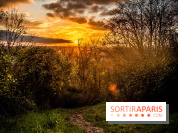 Colline d’elancourt - colline de la revanche 