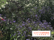 Distribution gratuite de 50.000 sachets de graines à Paris !