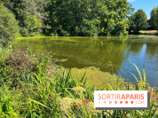 Fête de la Nature à Issy-les-Moulineaux, le programme gratuit