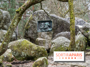 Nuit des Forêts à Fontainebleau 2023 entre art, nature et découvertes gratuites